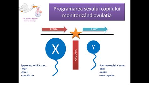 sexul la ovulatie|MIT: Momentul actului sexual (înainte sau după ovulație